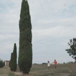 Videografo matrimonio Piemonte